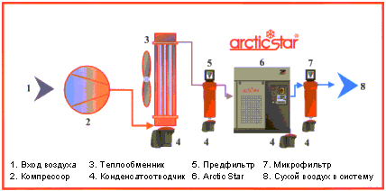    Arctic Star